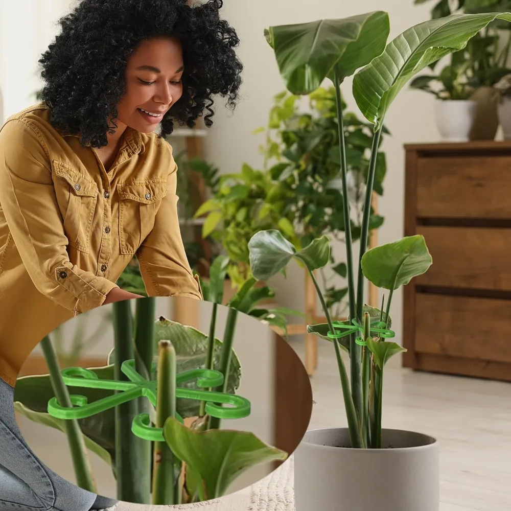 Flower Plant Stem Support Stak - огляд і ціна Florist Supply Bulk