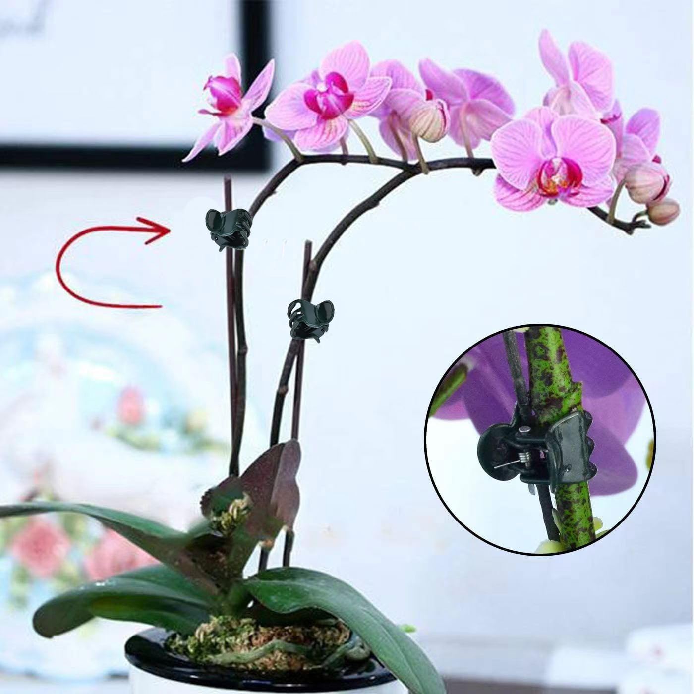 Mini Plant Clips 100PCS Garden - огляд і ціна Florist Supply Bulk